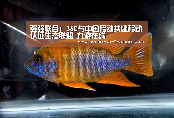 强强联合!360与中国移动共建移动认证生态联盟_九游在线(图1) nine game