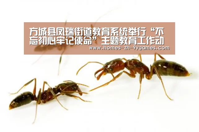 方城县凤瑞街道教育系统举行“不忘初心牢记使命”主题教育工作动员会“nine game”(图1) 九游网页版