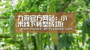 九游