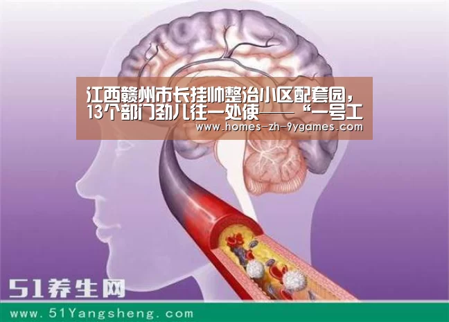 江西赣州市长挂帅整治小区配套园,13个部门劲儿往一处使——“一号工程”唱响治理协奏曲|九游官方网站(图4) 九游